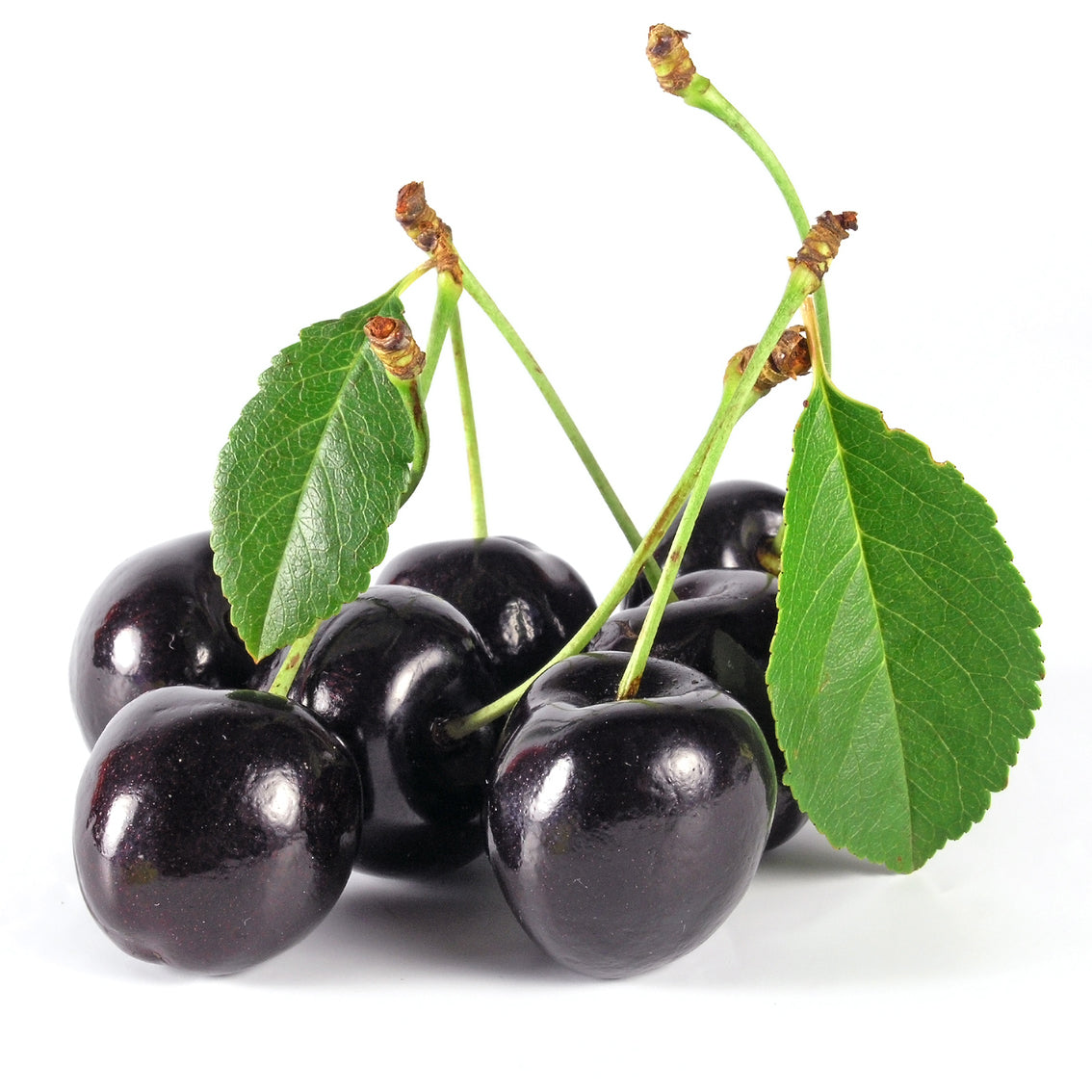 Black Cherry Aroma Diffuser Oil - Ultrasonic Diffuser Aroma Oil