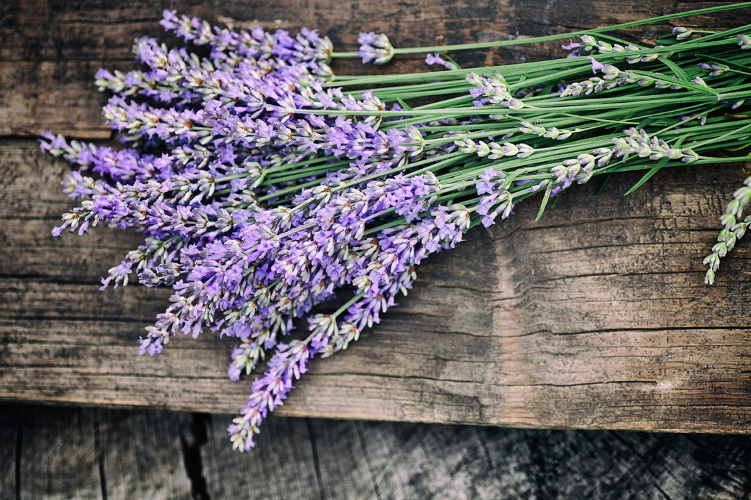 Lavender Fragrance Oil