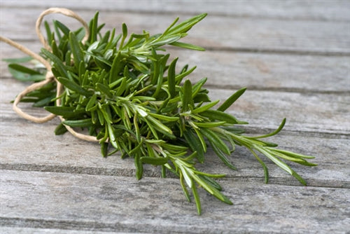 Rosemary Essential Oil