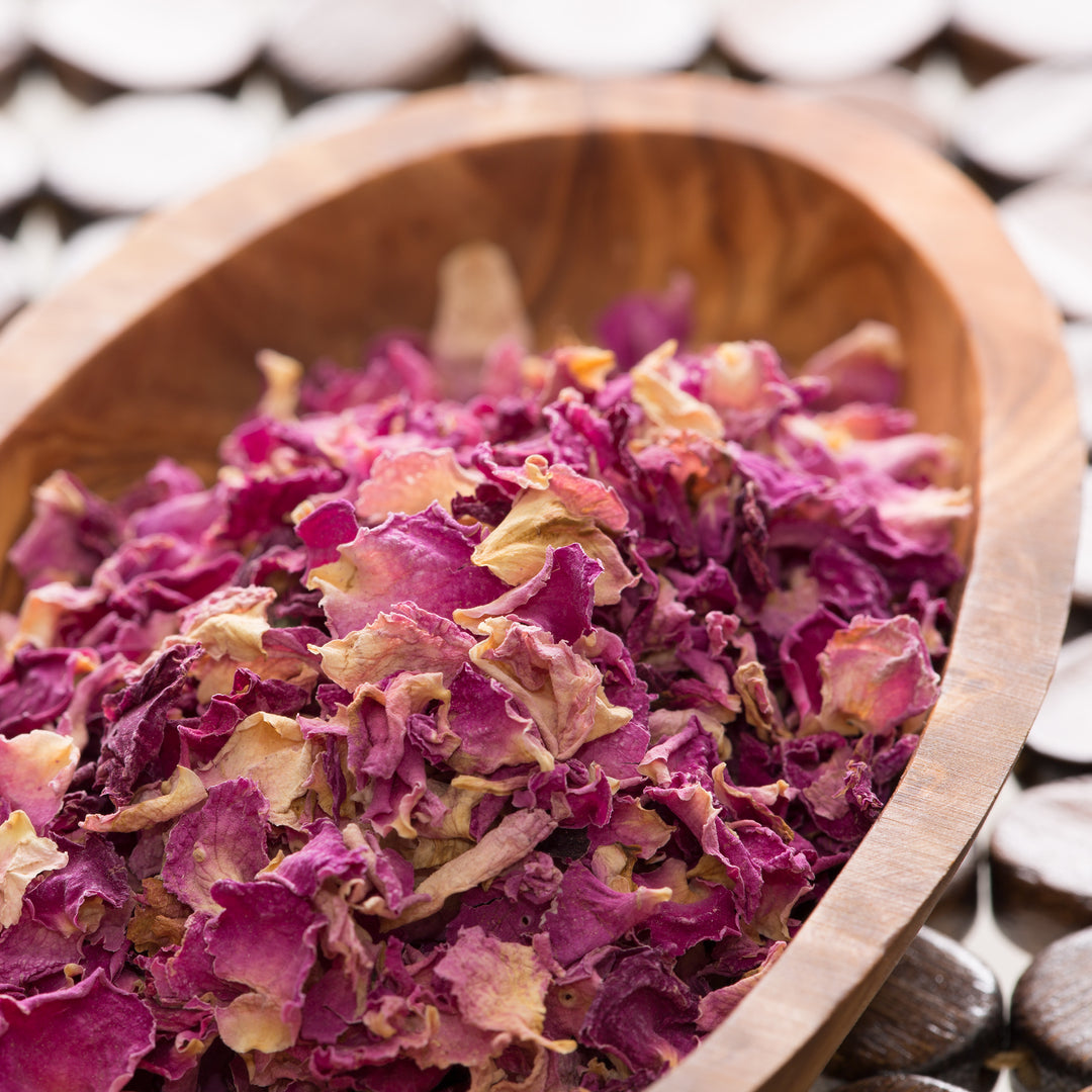 Pink Rose Petals and Buds