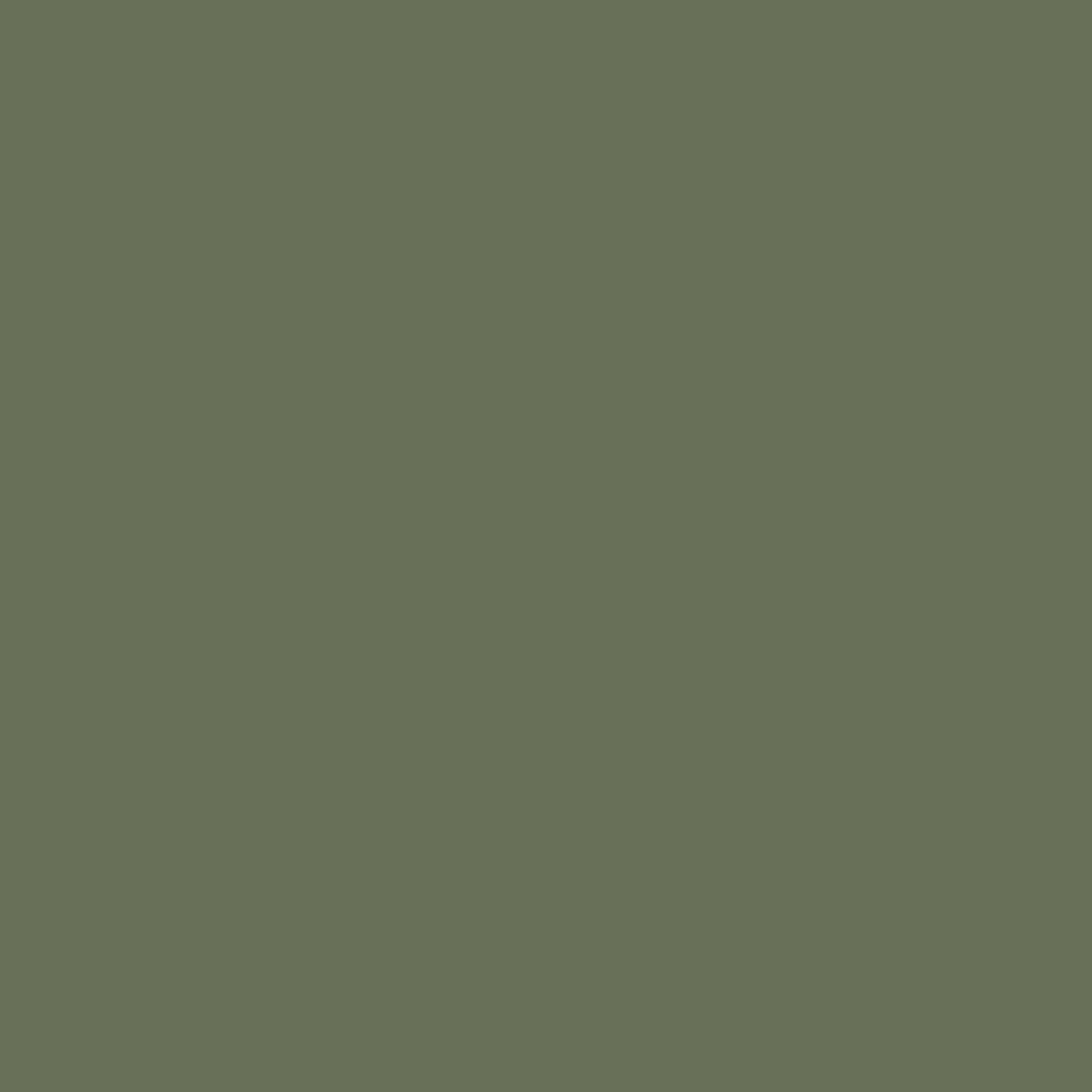 Diamond Dye Sage Green