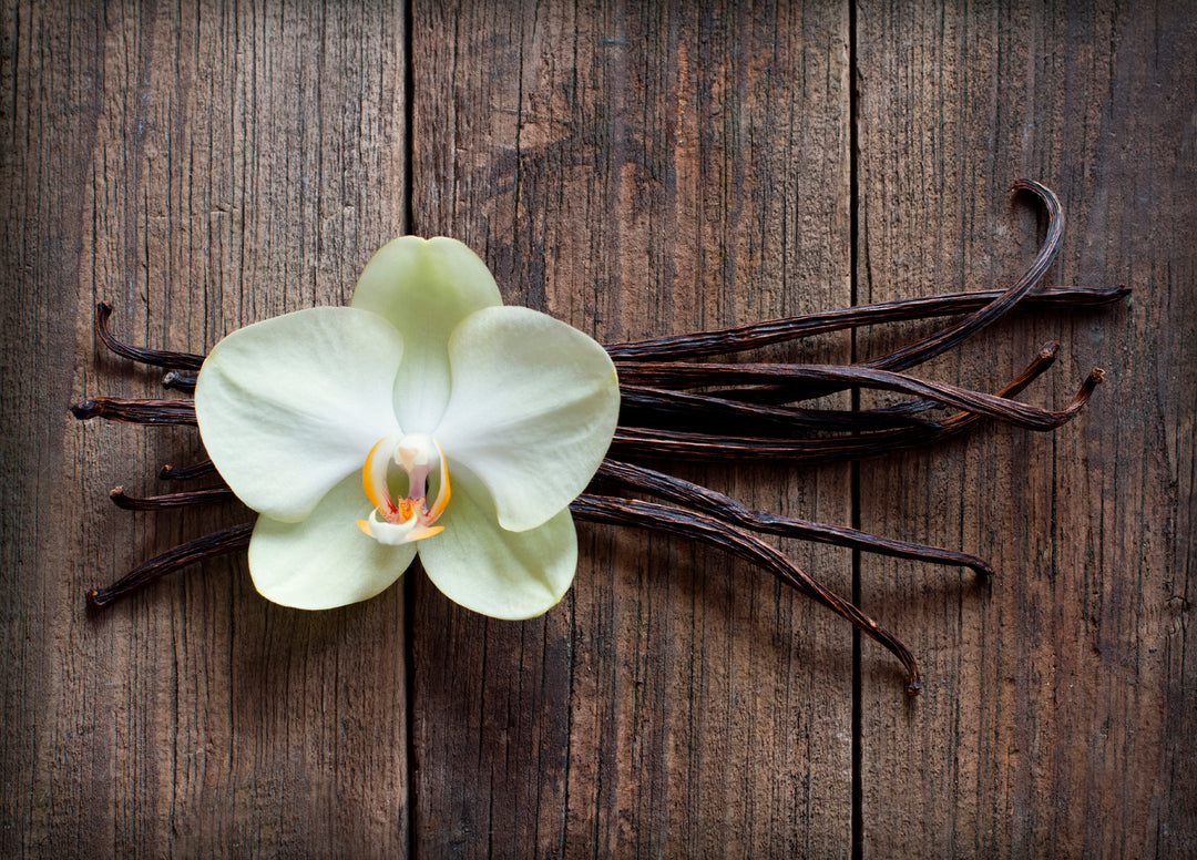 Vanilla Bean Fragrance Oil