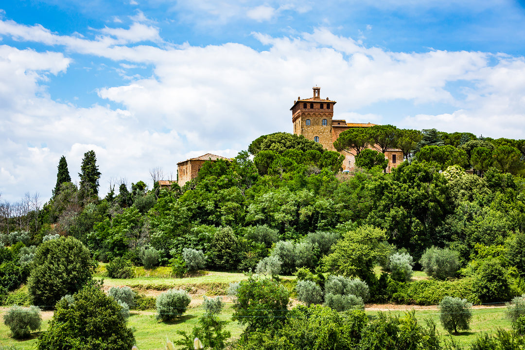 Tuscan Sandalwood Fragrance Oil